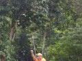 Tn DSC 4301